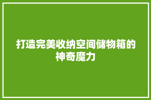 打造完美收纳空间储物箱的神奇魔力
