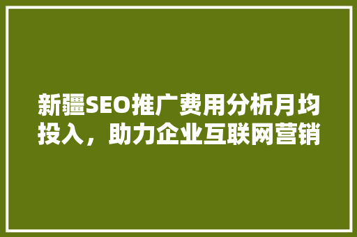 新疆SEO推广费用分析月均投入，助力企业互联网营销