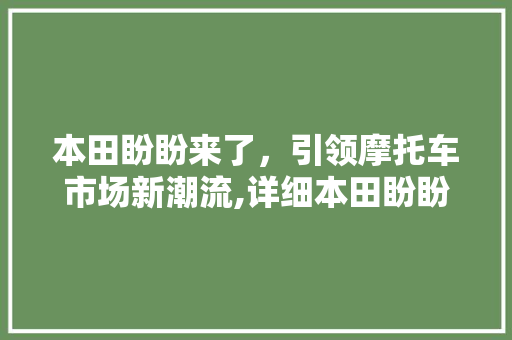 本田盼盼来了，引领摩托车市场新潮流,详细本田盼盼adv350