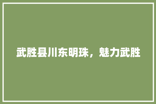 武胜县川东明珠，魅力武胜
