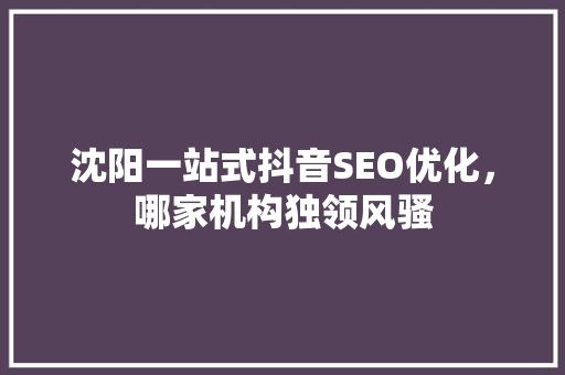 沈阳一站式抖音SEO优化，哪家机构独领风骚
