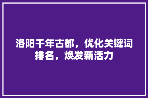 洛阳千年古都，优化关键词排名，焕发新活力