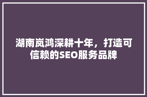 湖南岚鸿深耕十年，打造可信赖的SEO服务品牌