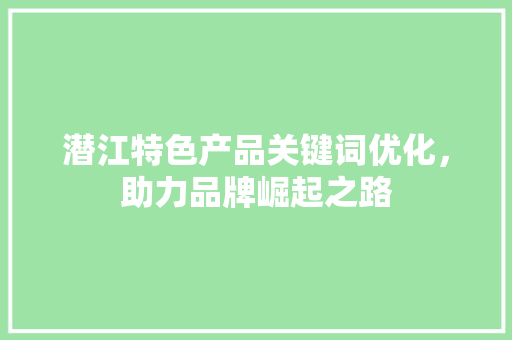 潜江特色产品关键词优化，助力品牌崛起之路