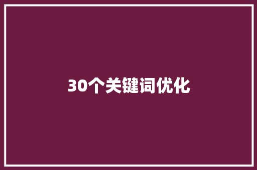 30个关键词优化