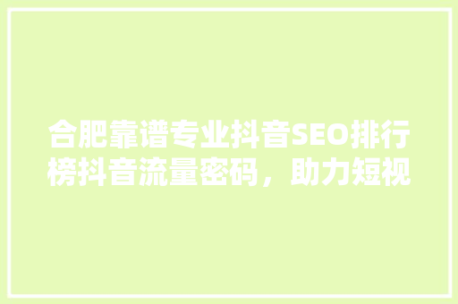 合肥靠谱专业抖音SEO排行榜抖音流量密码，助力短视频霸屏