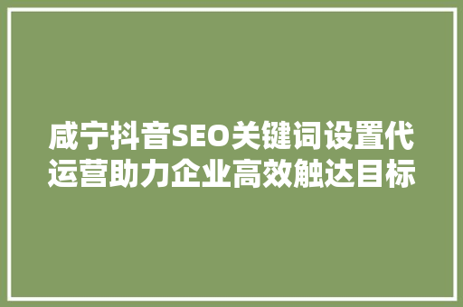 咸宁抖音SEO关键词设置代运营助力企业高效触达目标受众