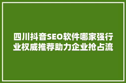 四川抖音SEO软件哪家强行业权威推荐助力企业抢占流量高地