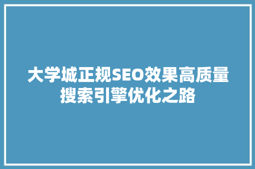 大学城正规SEO效果高质量搜索引擎优化之路