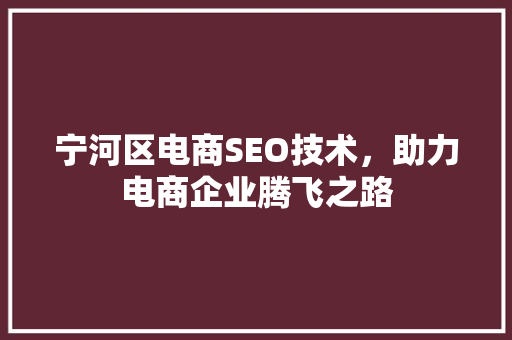 宁河区电商SEO技术，助力电商企业腾飞之路