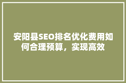 安阳县SEO排名优化费用如何合理预算，实现高效