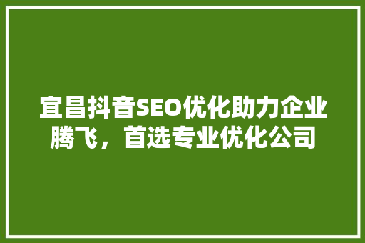 宜昌抖音SEO优化助力企业腾飞，首选专业优化公司