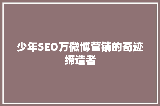 少年SEO万微博营销的奇迹缔造者