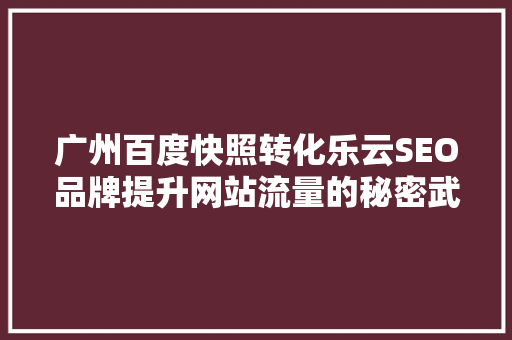 广州百度快照转化乐云SEO品牌提升网站流量的秘密武器