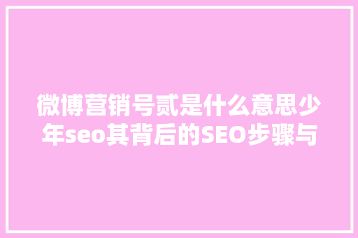 微博营销号贰是什么意思少年seo其背后的SEO步骤与营销智慧