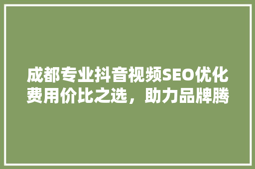 成都专业抖音视频SEO优化费用价比之选，助力品牌腾飞