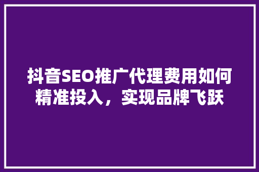 抖音SEO推广代理费用如何精准投入，实现品牌飞跃