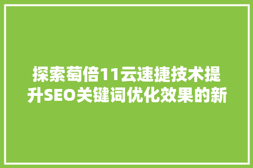 探索萄倍11云速捷技术提升SEO关键词优化效果的新篇章