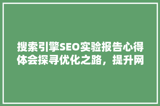 搜索引擎SEO实验报告心得体会探寻优化之路，提升网站价值