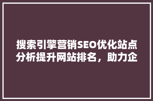 搜索引擎营销SEO优化站点分析提升网站排名，助力企业腾飞