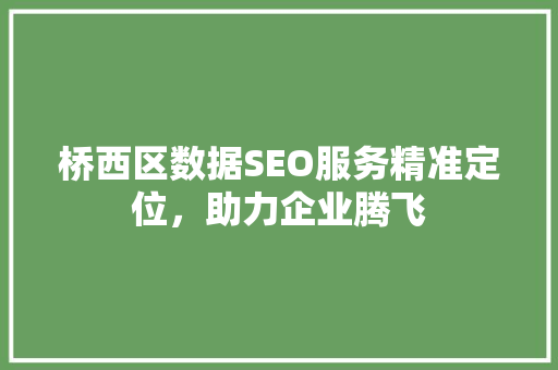 桥西区数据SEO服务精准定位，助力企业腾飞