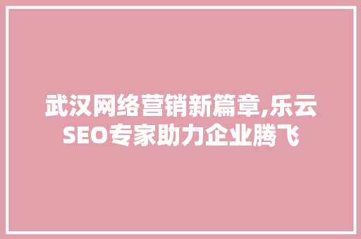 武汉网络营销新篇章,乐云SEO专家助力企业腾飞
