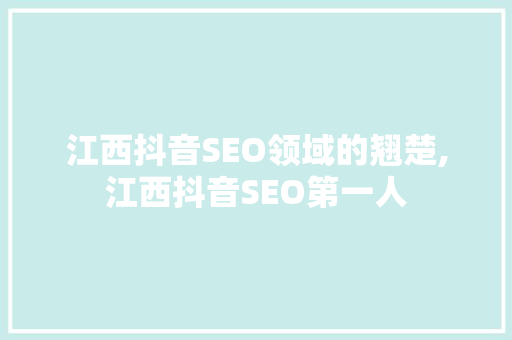 江西抖音SEO领域的翘楚,江西抖音SEO第一人