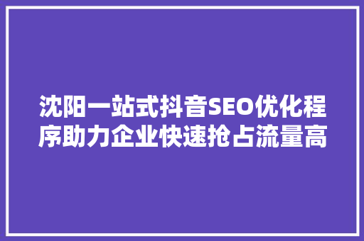 沈阳一站式抖音SEO优化程序助力企业快速抢占流量高地