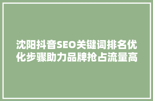 沈阳抖音SEO关键词排名优化步骤助力品牌抢占流量高地