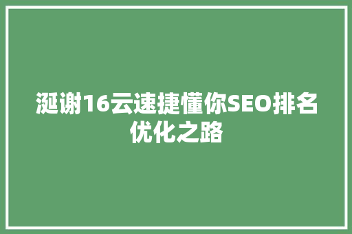 涎谢16云速捷懂你SEO排名优化之路