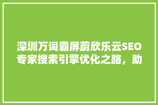深圳万词霸屏蔚欣乐云SEO专家搜索引擎优化之路，助力企业品牌腾飞