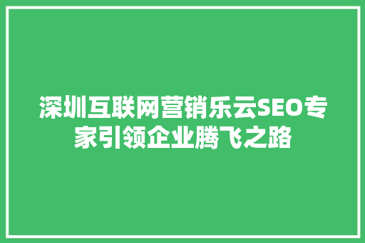 深圳互联网营销乐云SEO专家引领企业腾飞之路