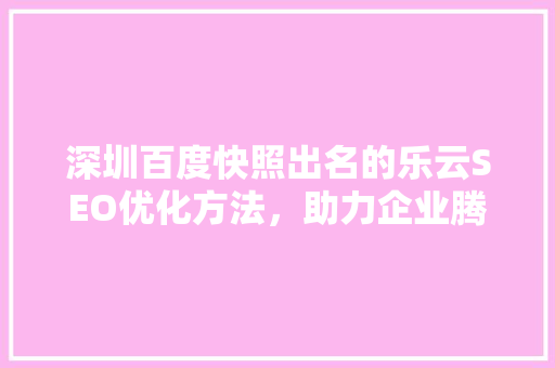 深圳百度快照出名的乐云SEO优化方法，助力企业腾飞
