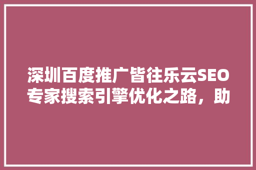 深圳百度推广皆往乐云SEO专家搜索引擎优化之路，助力企业腾飞