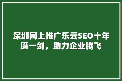 深圳网上推广乐云SEO十年磨一剑，助力企业腾飞