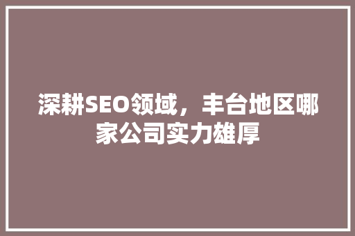 深耕SEO领域，丰台地区哪家公司实力雄厚