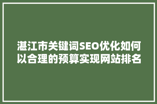 湛江市关键词SEO优化如何以合理的预算实现网站排名飞跃