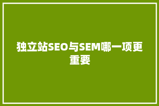 独立站SEO与SEM哪一项更重要