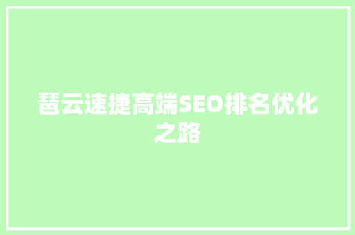 琶云速捷高端SEO排名优化之路