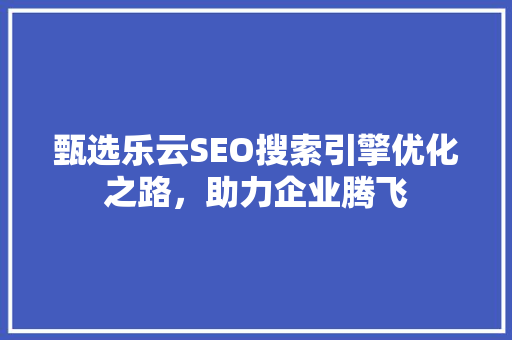 甄选乐云SEO搜索引擎优化之路，助力企业腾飞