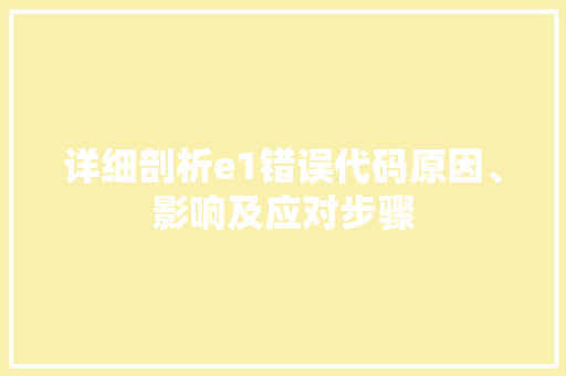 详细剖析e1错误代码原因、影响及应对步骤