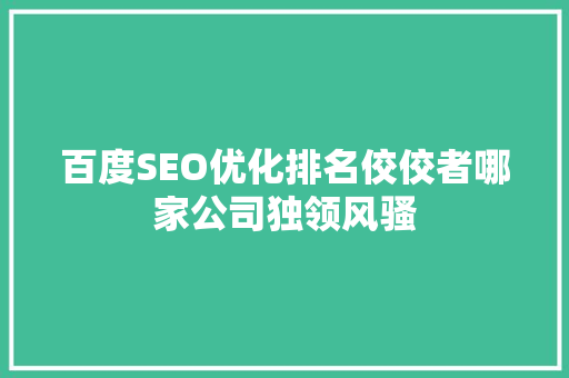百度SEO优化排名佼佼者哪家公司独领风骚