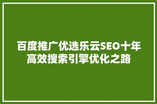 百度推广优选乐云SEO十年高效搜索引擎优化之路