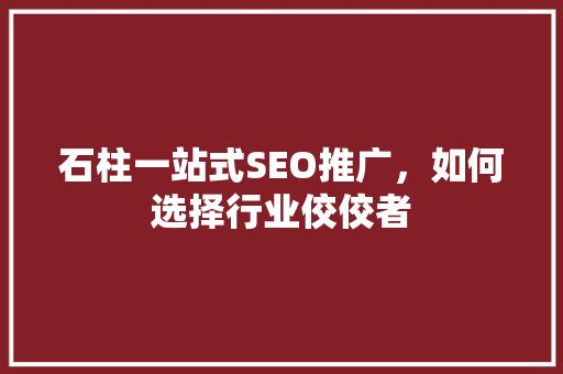 石柱一站式SEO推广，如何选择行业佼佼者