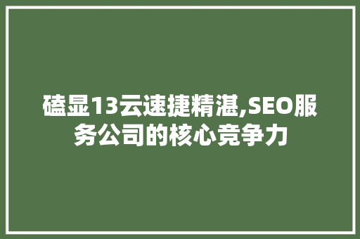 磕显13云速捷精湛,SEO服务公司的核心竞争力