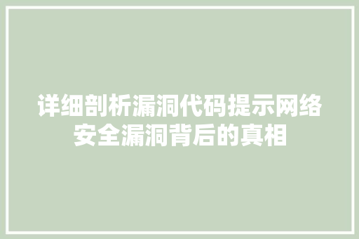 详细剖析漏洞代码提示网络安全漏洞背后的真相