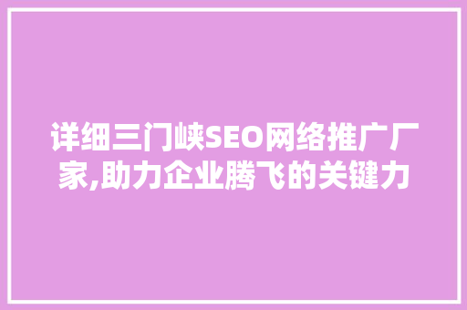 详细三门峡SEO网络推广厂家,助力企业腾飞的关键力量