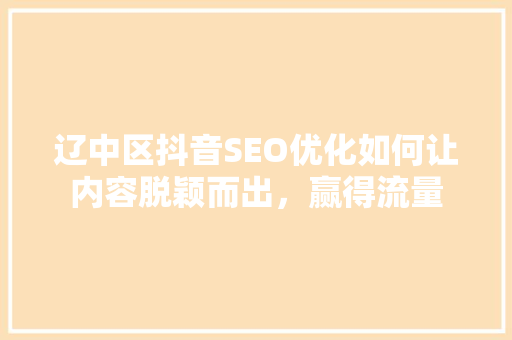 辽中区抖音SEO优化如何让内容脱颖而出，赢得流量