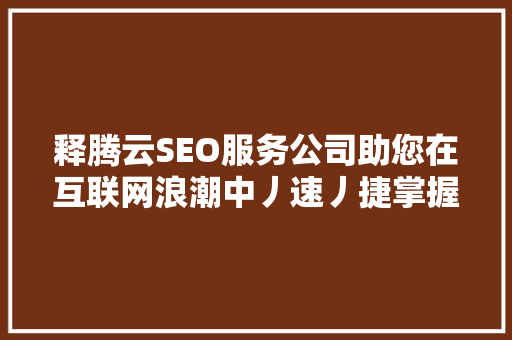 释腾云SEO服务公司助您在互联网浪潮中丿速丿捷掌握市场先机