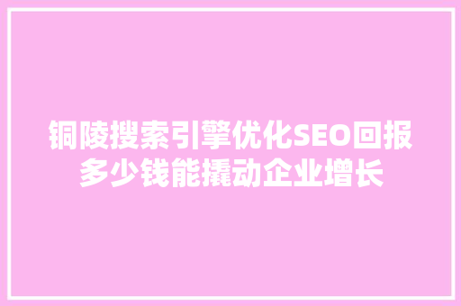 铜陵搜索引擎优化SEO回报多少钱能撬动企业增长